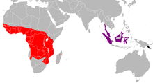 Karte des Verbreitungsgebiets nach Unterarten gegeliedert