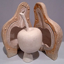 Lost Wax-Model of apple in plaster.jpg