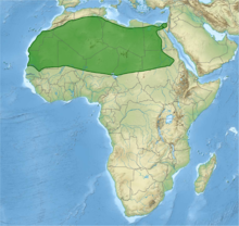 Karte Afrikas mit grün eingezeichneter Verbreitung