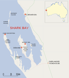 Lage der Dorre Island in der Shark Bay