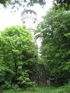 Alteburgturm auf dem bewaldeten Gipfel