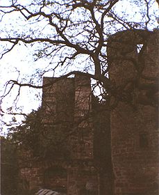 Burg Diemerstein 1985