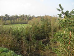 Blick in das Naturschutzgebiet „Annaberg"