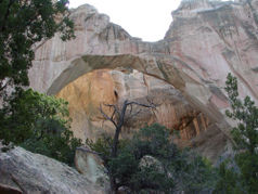 La Ventana Natural Arch