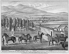 Die Ranch um 1880