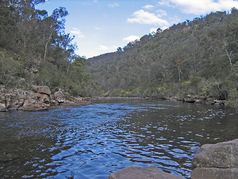 Der Mitchell River im gleichnamigen Nationalpark