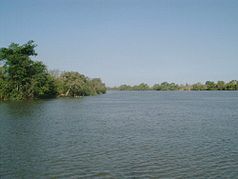 Der Gambia-Fluss in der Nähe des RGNP