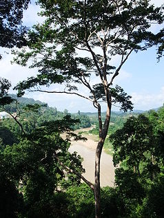 Ansicht des Sungei Tembeling vom Taman Negara