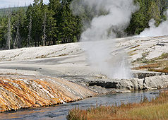 Yellowstone-Nationalpark