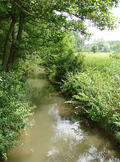 Der Fluss bei Faverolles-et-Coëmy