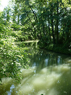 Der Fluss bei Saint-Sulpice