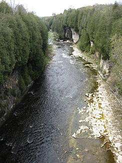 Grand River in der Elora Gorge