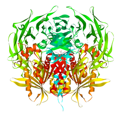 Dipeptidylpeptidase 4