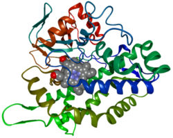 Cytochrom P450