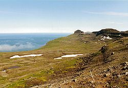 Blick auf die Dänemarkstraße von der Halbinsel Hornstrandir, Island