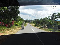 Straße auf Bintan (2008)