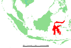 Lage von Sulawesi