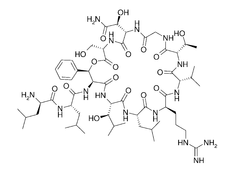 Katanosin A structure.png