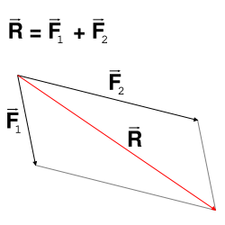 Graphische Darstellung des Scheinlots als resultierender Vektor aus Schwerkraft und Fliehkraft in einem Kräfteparallelogramm
