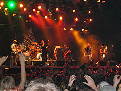 Die Mad Caddies beim Rheinkultur-Festival 2006