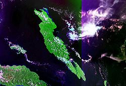 Satellitenbild der Insel (Falschfarben)