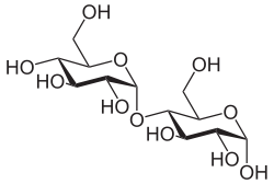 Struktur von Maltose