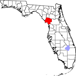 Karte von Levy County innerhalb von Florida