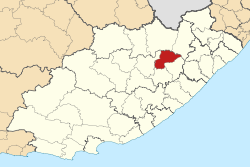 Map of the Eastern Cape with Sakhisizwe highlighted (2011).svg
