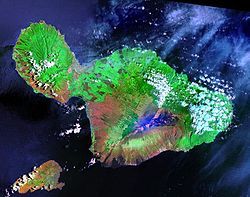 Satellitenbild von Maui