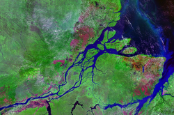 Satellitenbild der Amazonasmündung mit Marajó und Gurupá