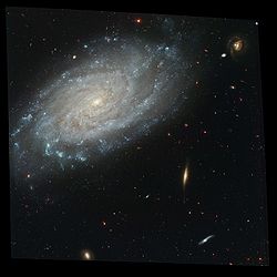 NGC 3370 Hi.jpg