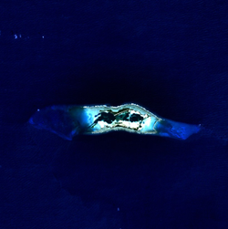 Satellitenbild des Palmyra-Atolls
