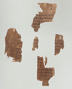 Papyrus 6 (John 10,1-10).jpg