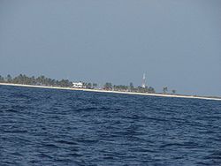 Roncador Cay, das größte Cay der Bank