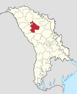 Singerei in Moldova.svg