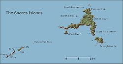 Karte der Snaresinseln, Broughton Island im Südosten
