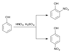 Synthesis o- and p-Nitrophenol.svg
