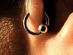Tragus piercing closeup.jpg