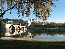 Blick von der Île de la Barthelasse auf die Stadt Avignon