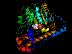 Aminotransferase