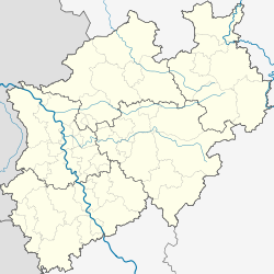 Großer Auesee (Nordrhein-Westfalen)