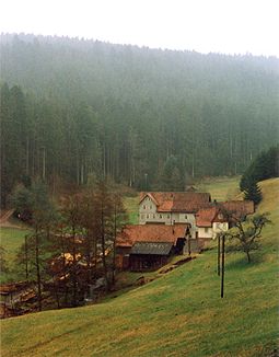 Glasmühle im Teinachtal, 1991