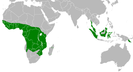 Karte des Verbreitungsgebiets