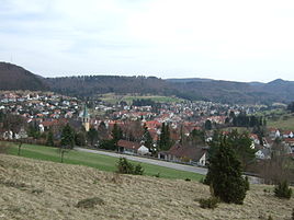 Panorama von Pfeffingen