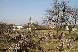 Die Höckerlinie mit der Remigiuskirche im Hintergrund
