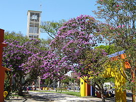 Die Praça da Bandeira im Stadtzentrum