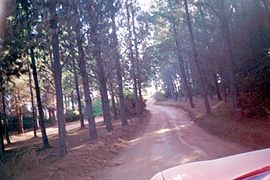 Straße im Wald zwischen den Ortsteilen Quintay und Tunquén