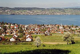 Wädenswil mit Zürichsee