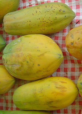 Papayafrucht (Carica papaya)