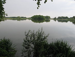 Blick über den Dippelsdorfer Teich